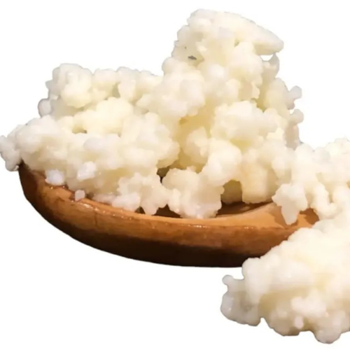 Probiótico Completo Natural Kéfir Búlgaros Yogurt Pajaritos